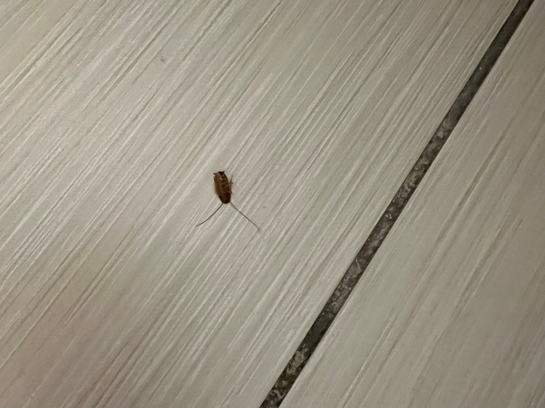 Courtyard by Marriott Monroe Airport主图