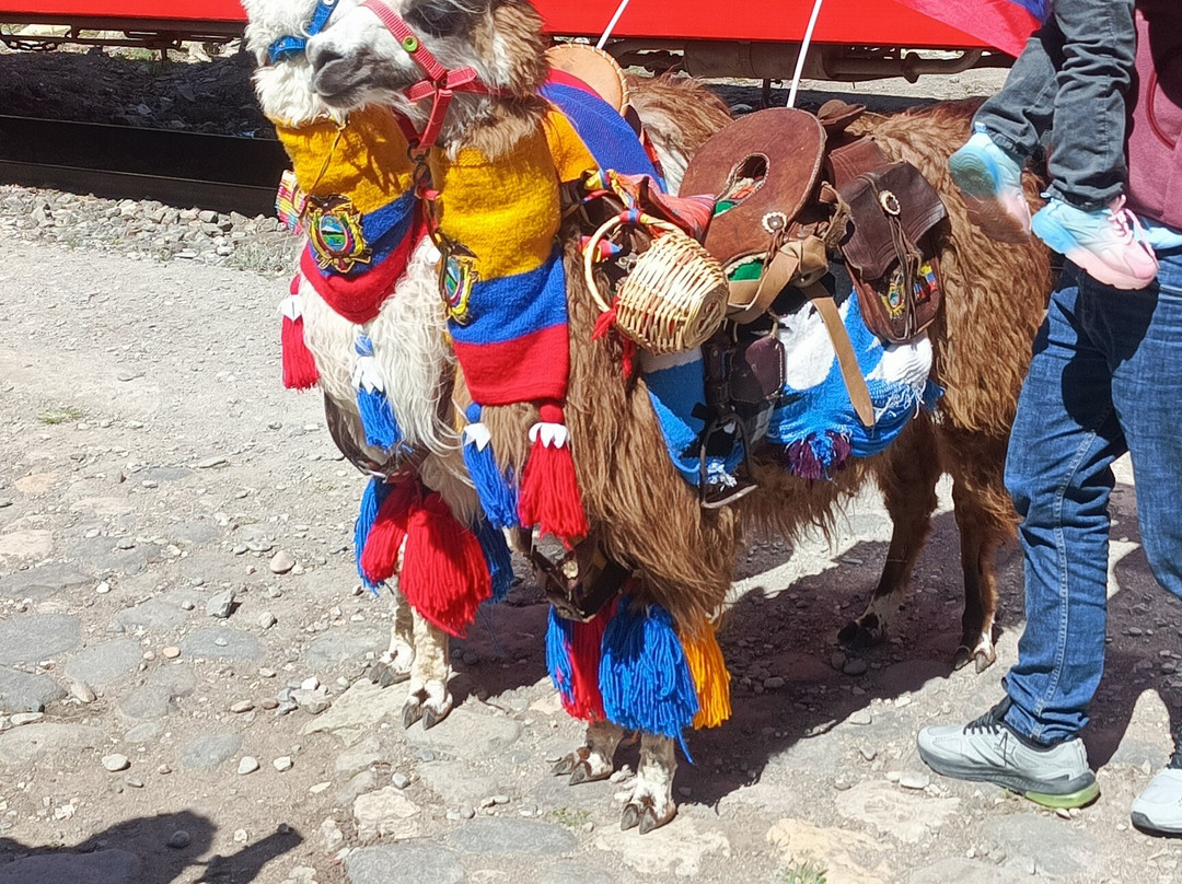 Go Camping-Velasco Ibarra必去景点