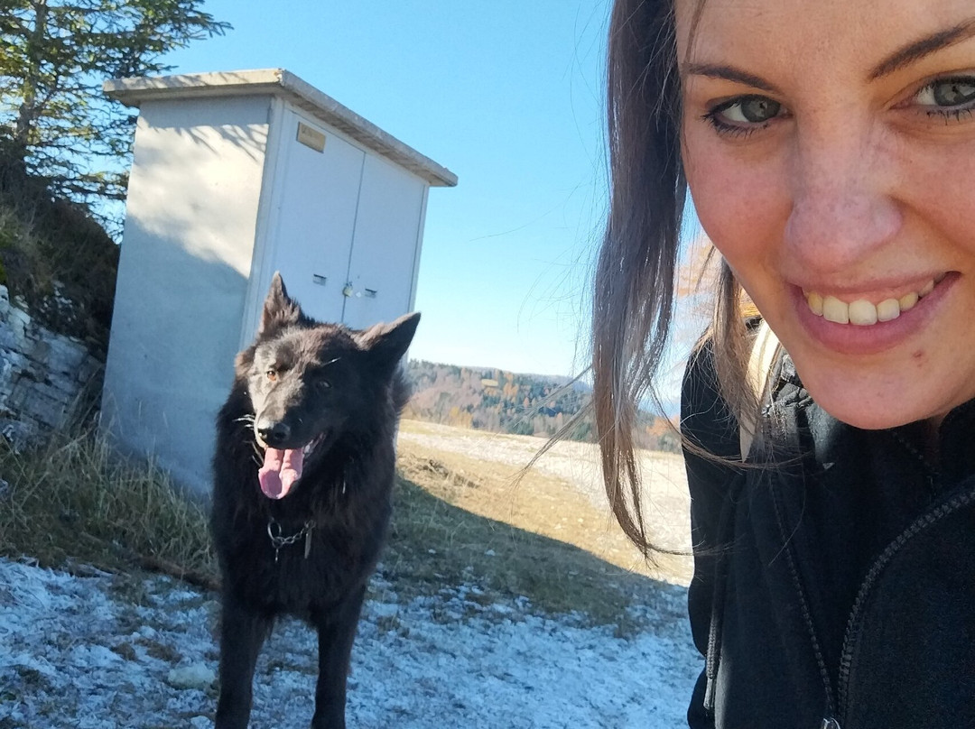 Albergo Ristorante Forte Cherle主图