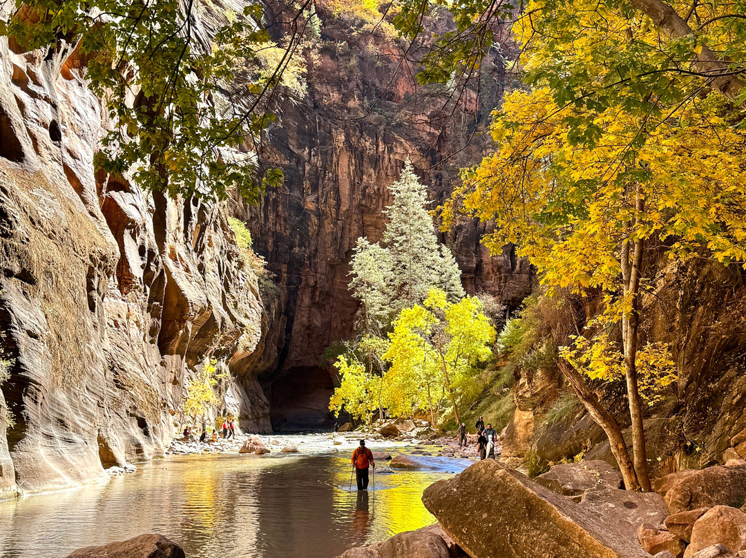 Zion Guru-斯普林代尔必去景点