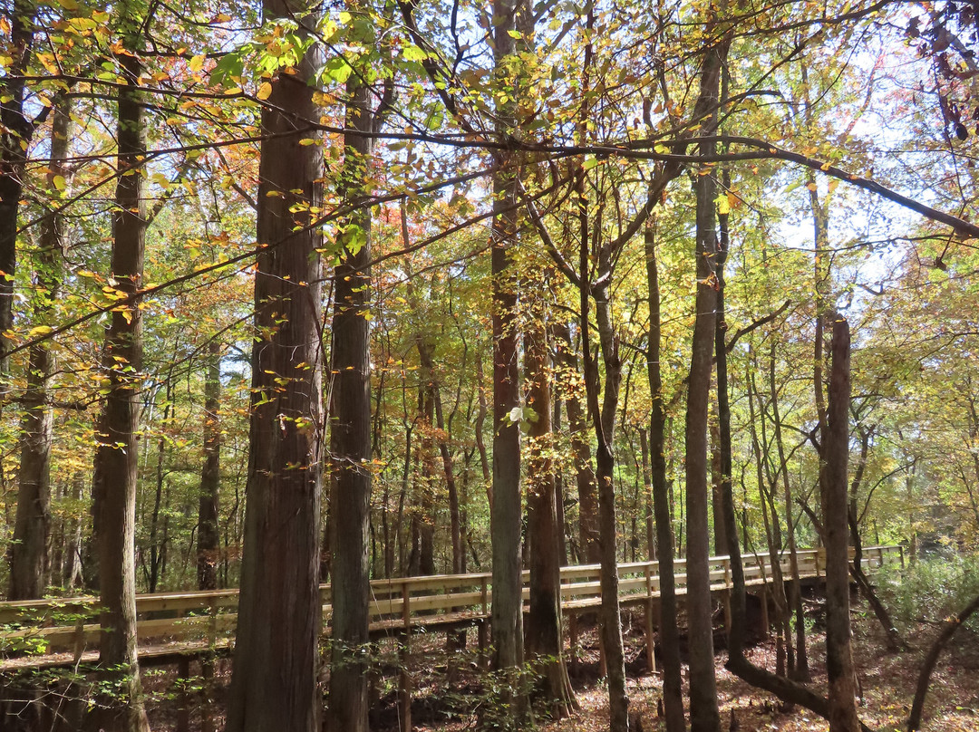 Pinson Mounds State Park-Pinson必去景点