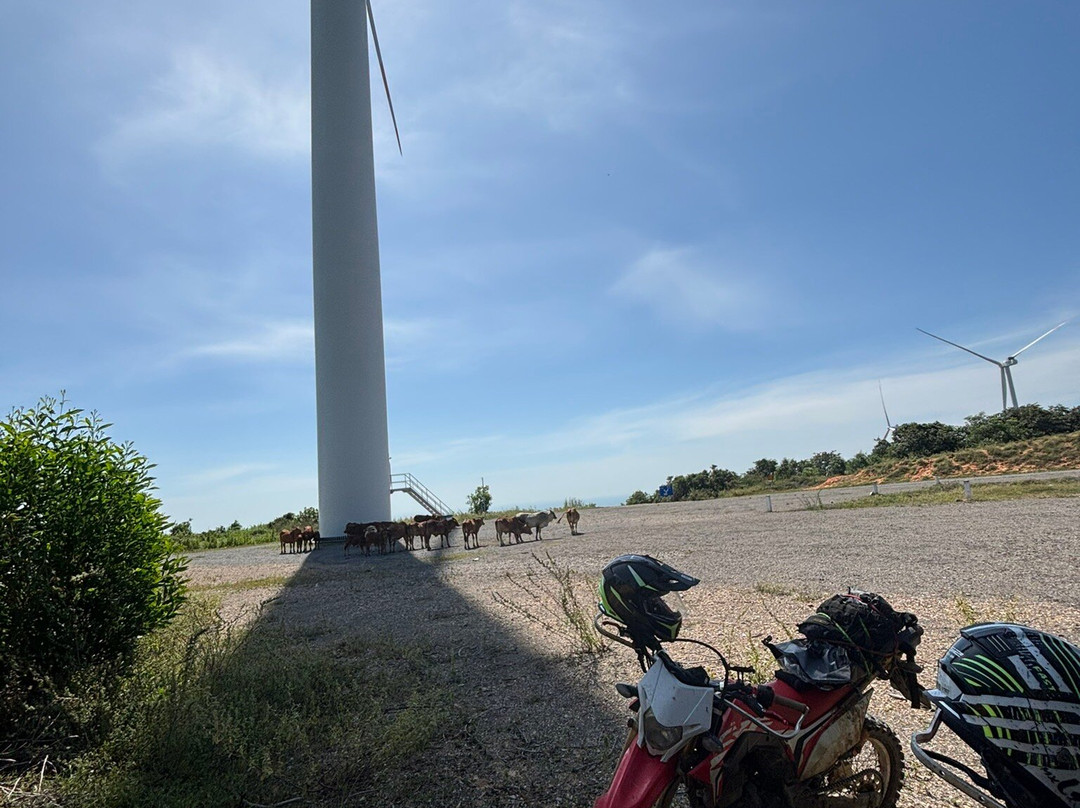 Tigit Motorbikes-胡志明市必去景点
