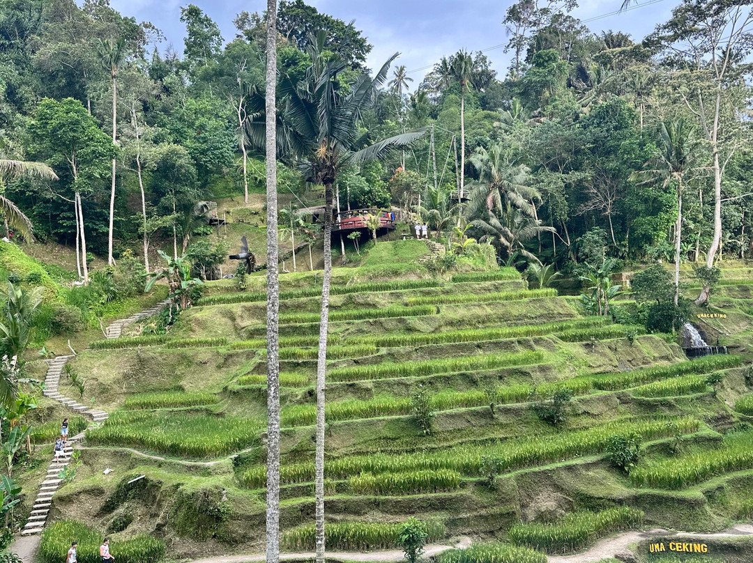 Bali Hire Driver-努沙杜瓦必去景点