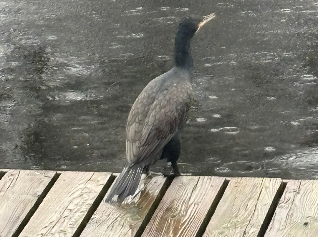 Summercraft-Hoveton必去景点