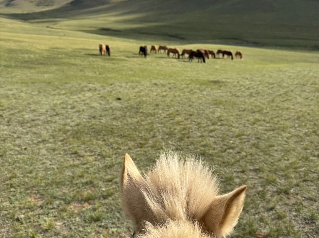 Discover Mongolia Travel-乌兰巴托必去景点