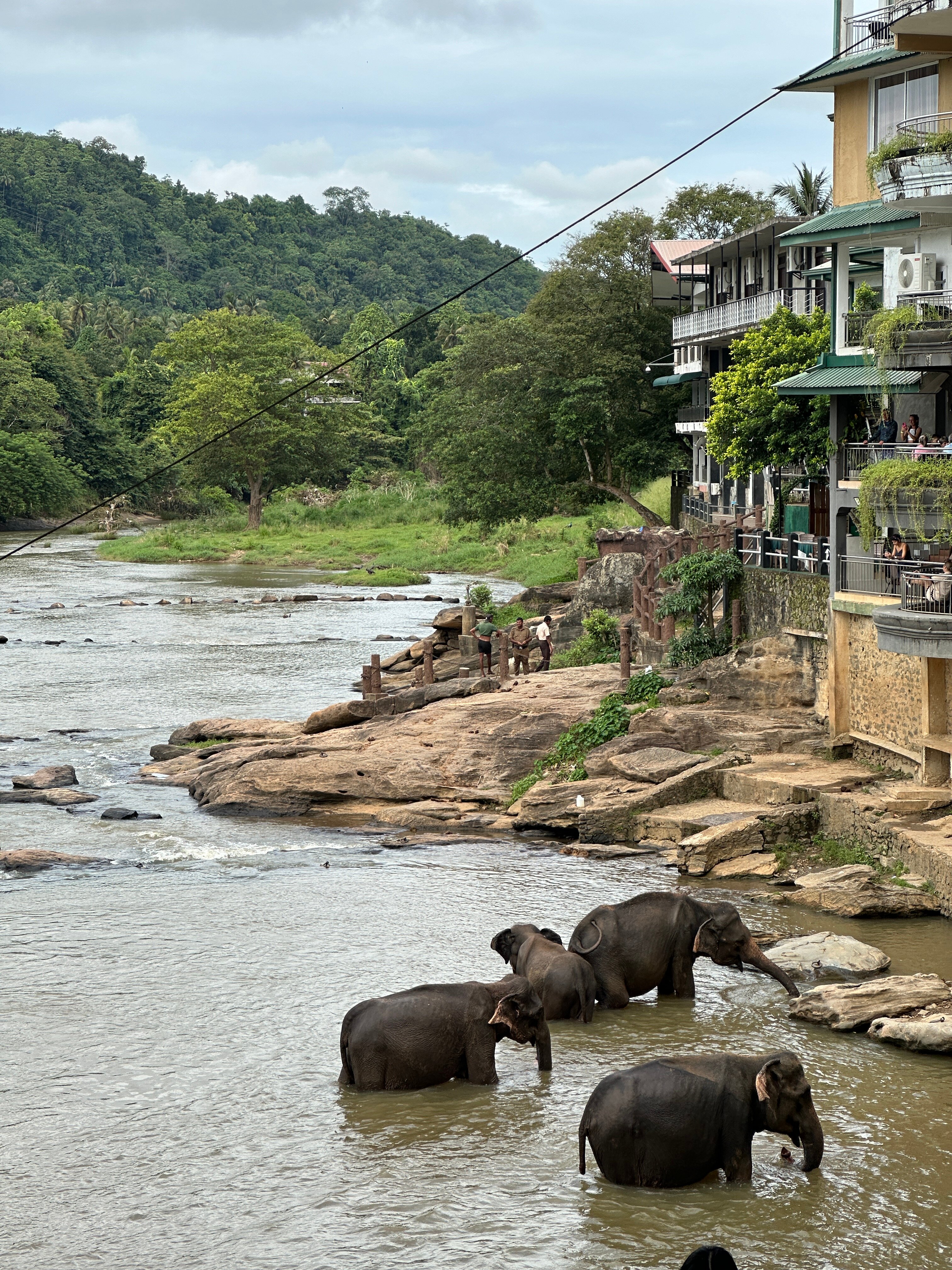 大象海湾酒店-官方