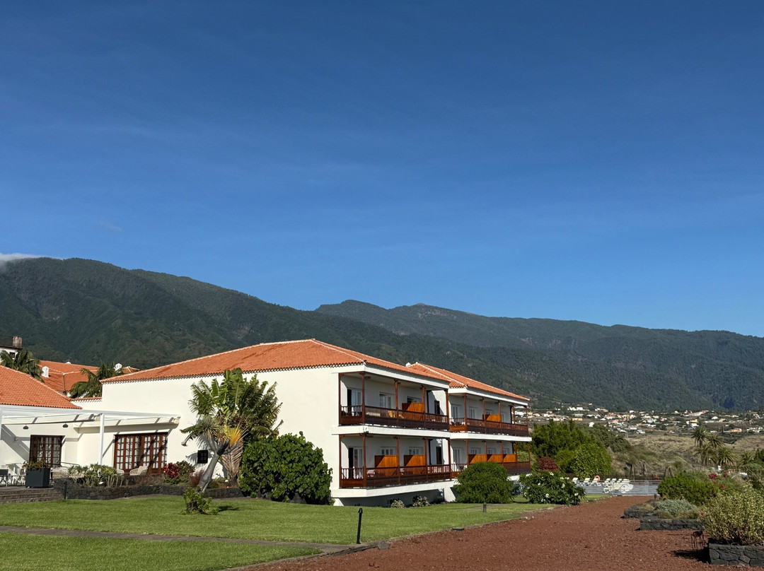 棕榈树旅馆主图