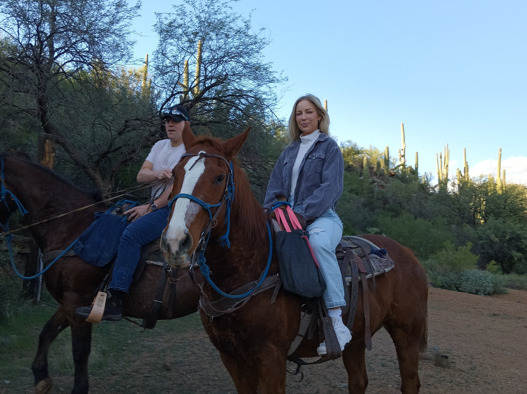 Arizona Horseback Adventures at Spur Cross-洞溪必去景点