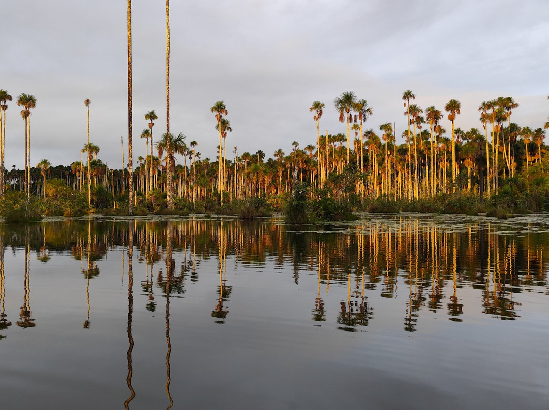 GREEN HOUSE TAMBOPATA-Filadelfia必去景点