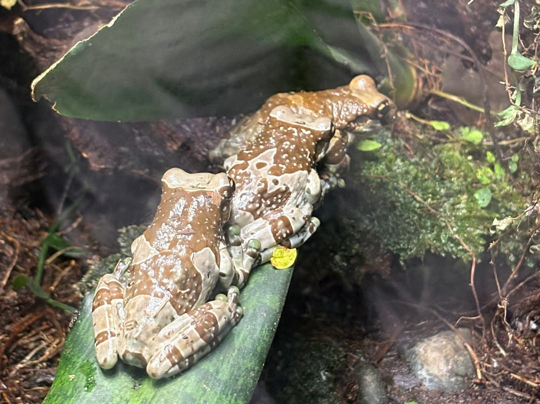 The Deep-赫尔河畔金斯顿必去景点