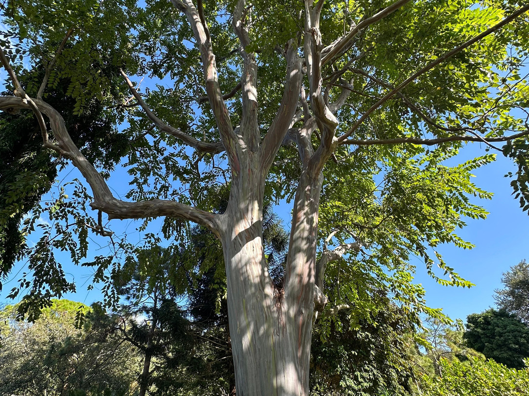 Deerfield Beach Arboretum-迪尔菲尔德比奇必去景点