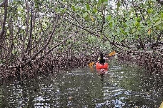 Oleta River Outdoor Center-北迈阿密海滩必去景点
