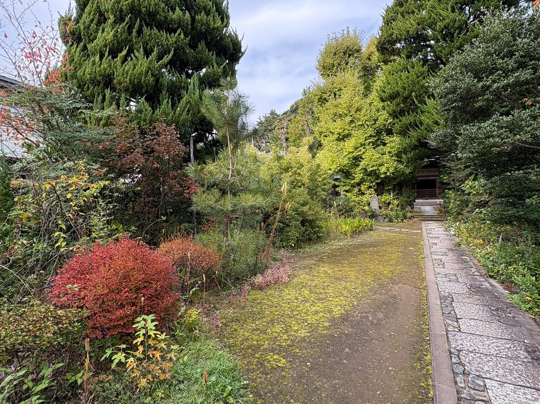 Jorakuji Temple-镰仓市必去景点