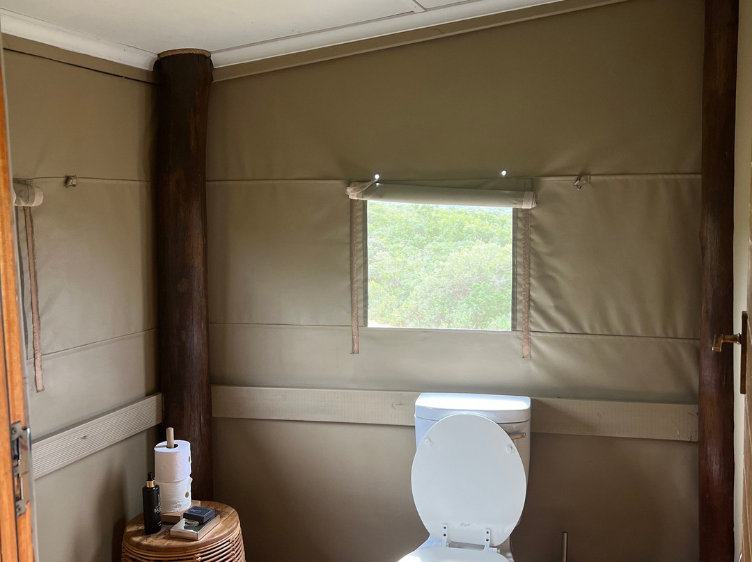 Bush Lodge Amakhala主图