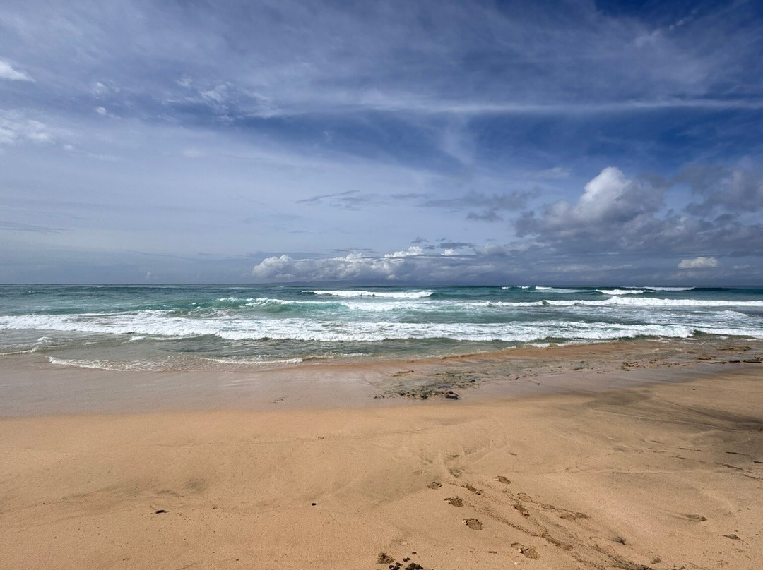 Nature net-Maio必去景点