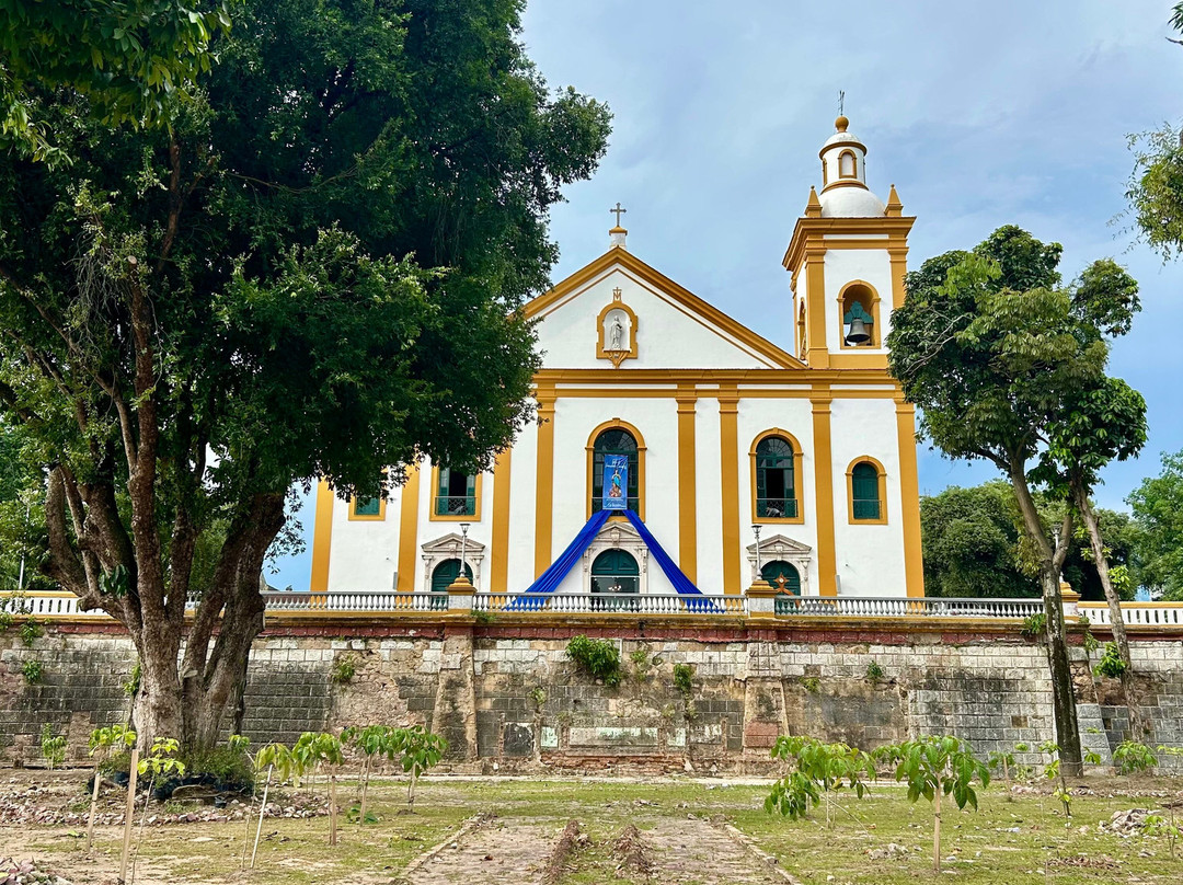 Catedral Metropolitana de Manaus-玛瑙斯必去景点