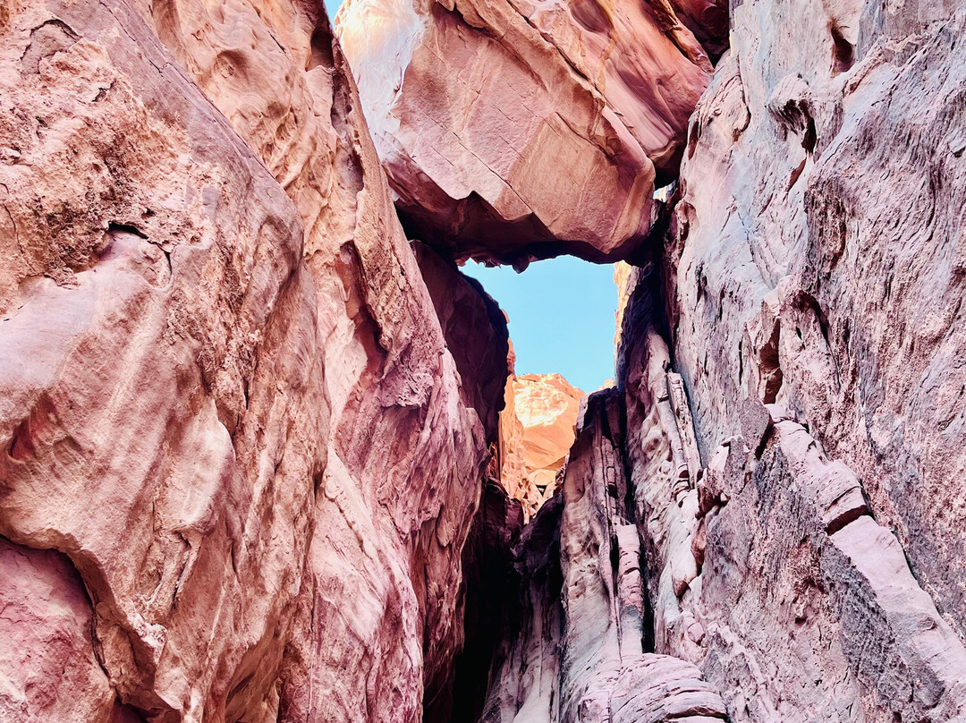 Jordan Memory Tours - Day Tours-佩特拉必去景点