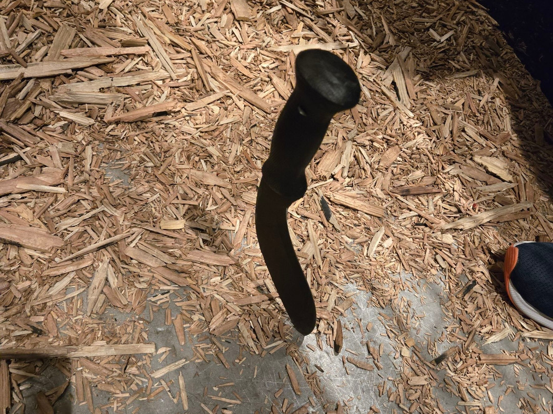 Axe Shisha Cafe A×S-千代田区必去景点