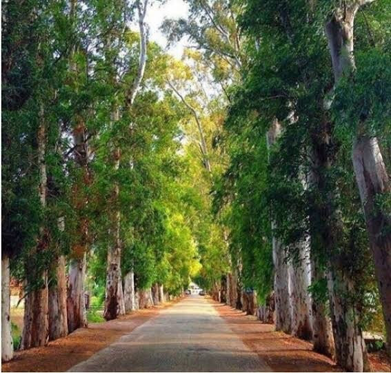 Akyaka Aşıklar Yolu