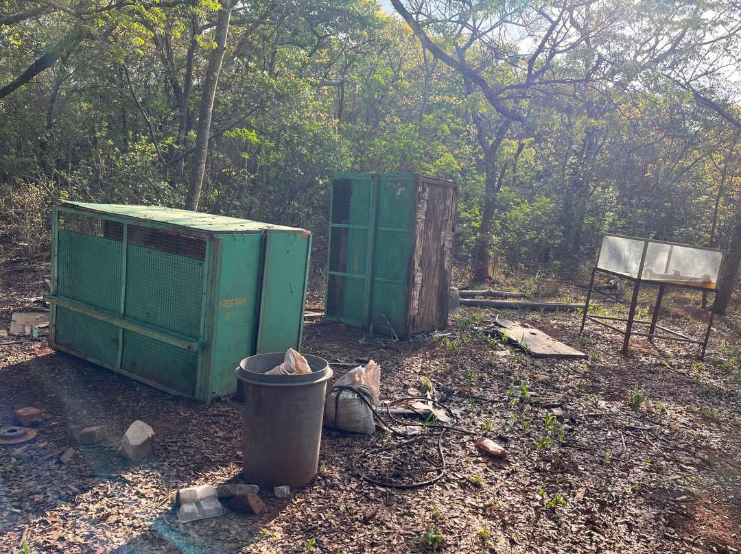 National Botanical Gardens-哈拉雷必去景点