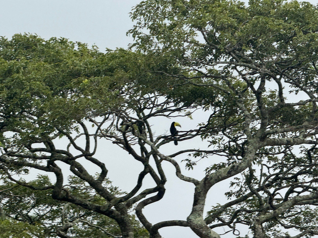 Equus Monteverde-Alto Cebadilla必去景点