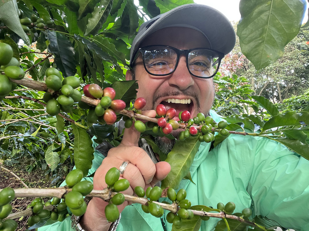 Los Sueños Travel-艾拉杜拉必去景点