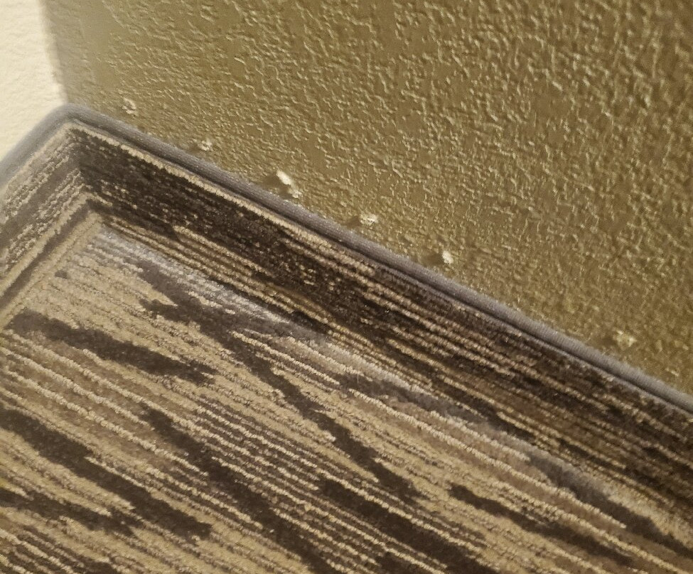 Comfort Suites主图