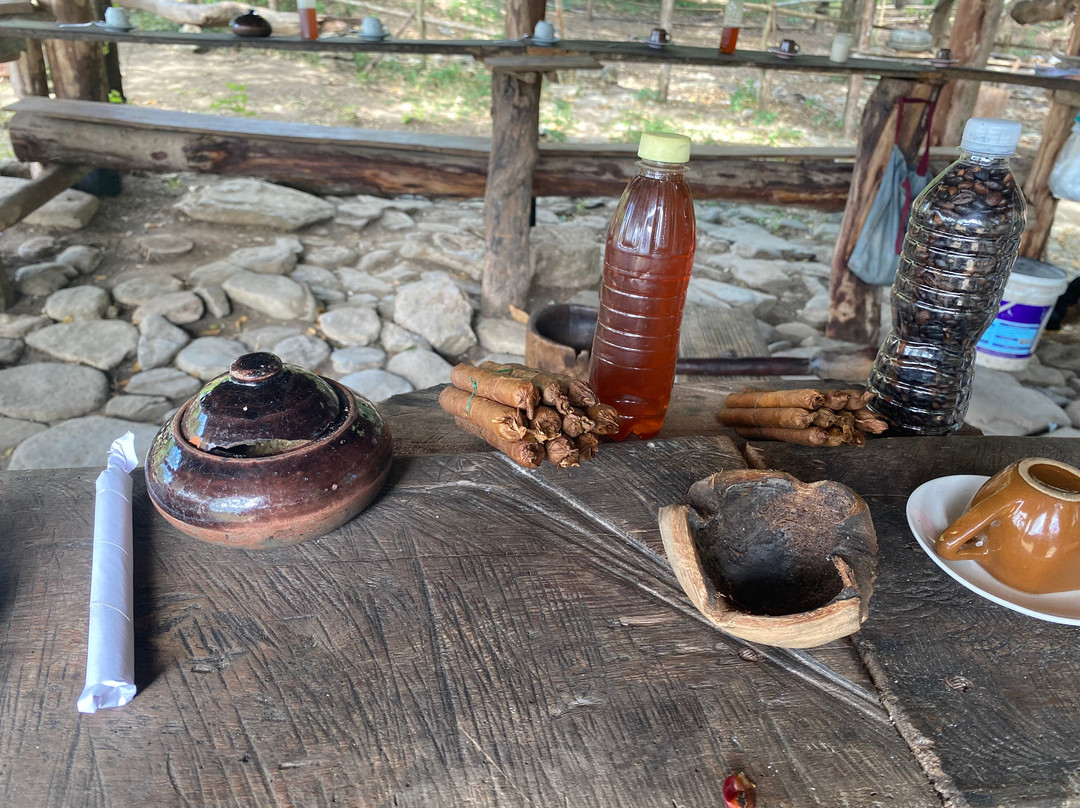 Horseback Riding Tours-特立尼达必去景点