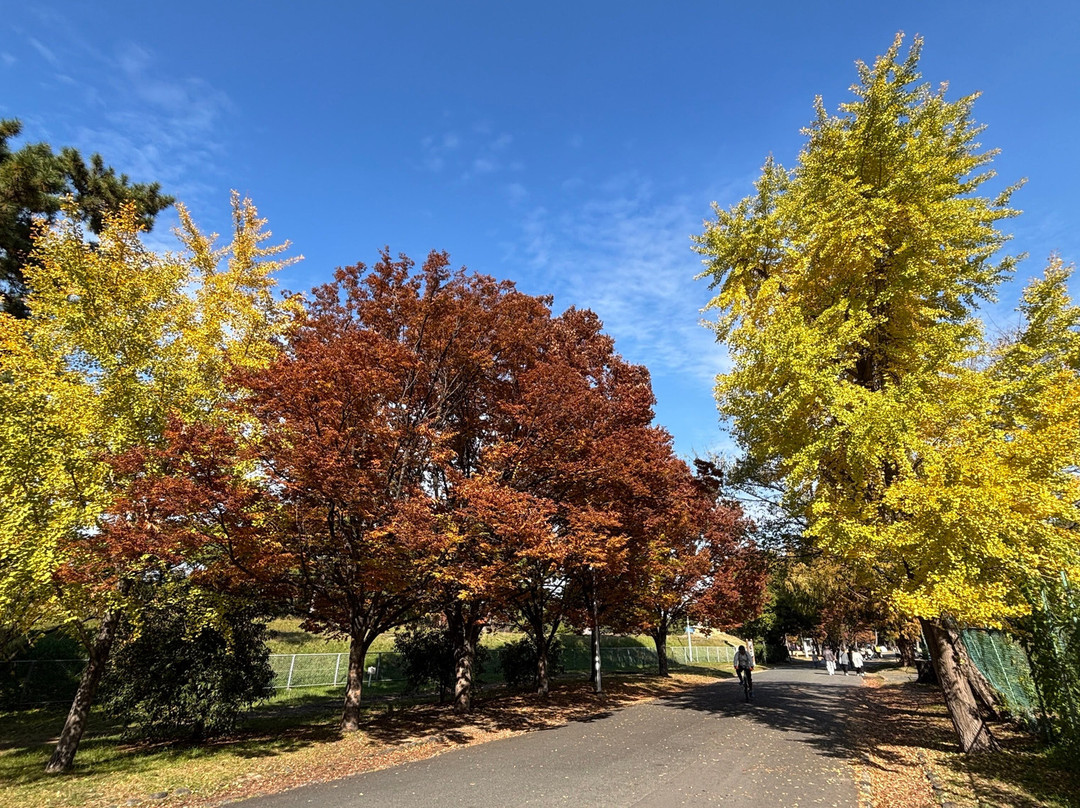 Hamadera Park-坂井市必去景点