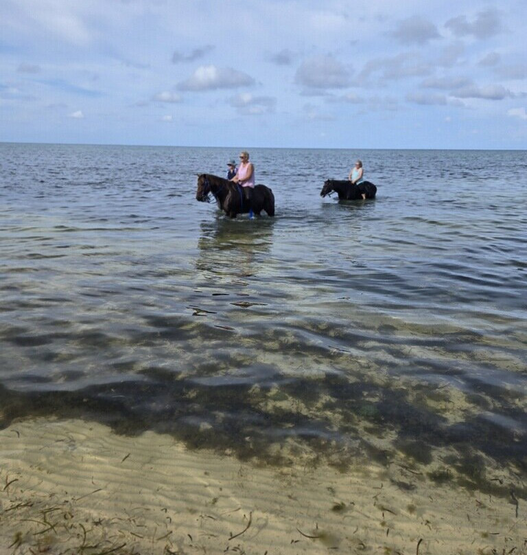 Cayman Horse Riding-西湾必去景点