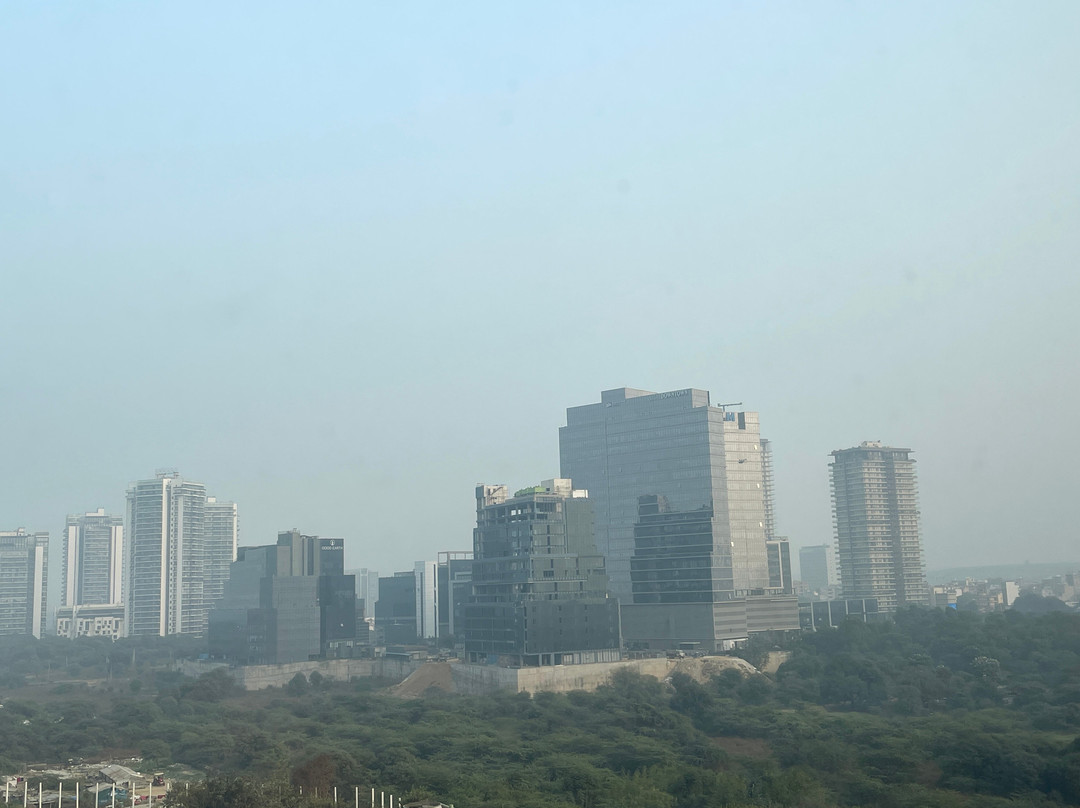 Grand Hyatt Gurgaon主图