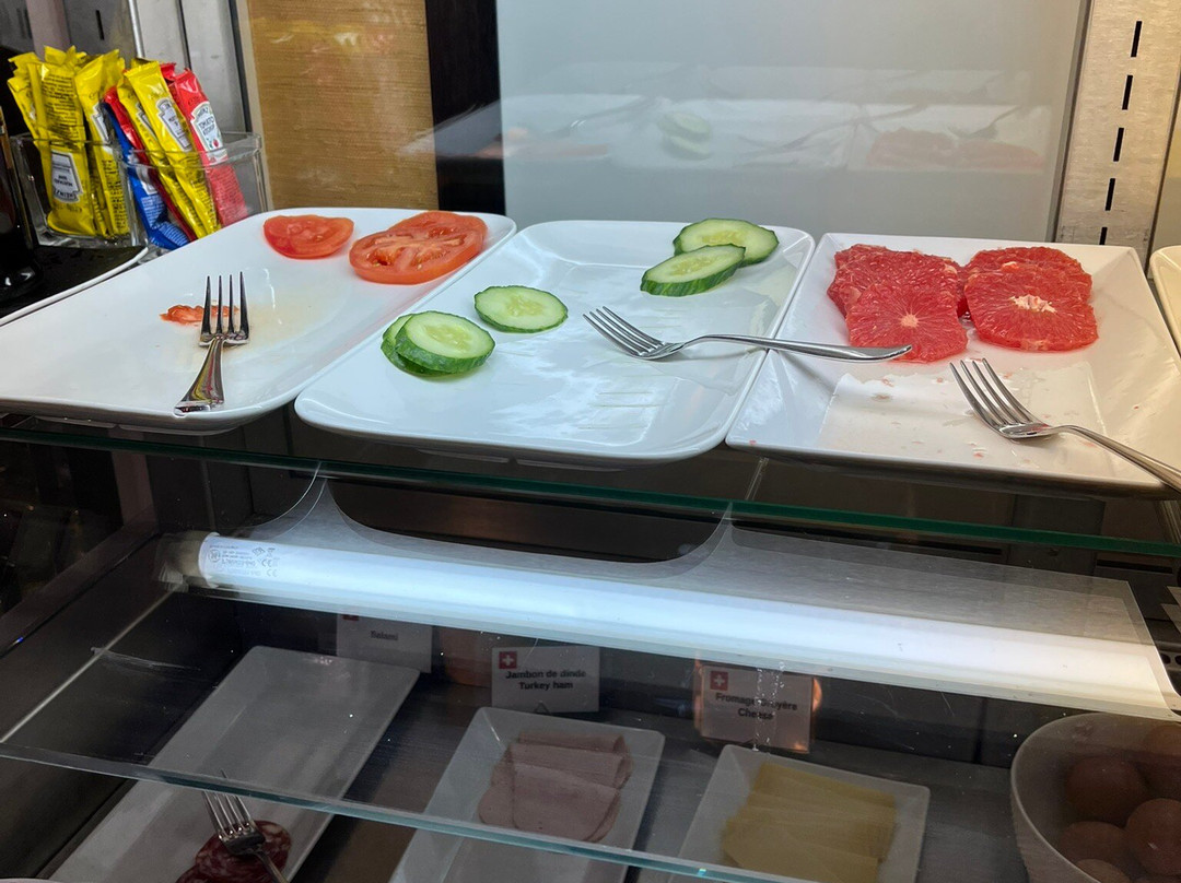 日内瓦碧玉马诺特酒店主图