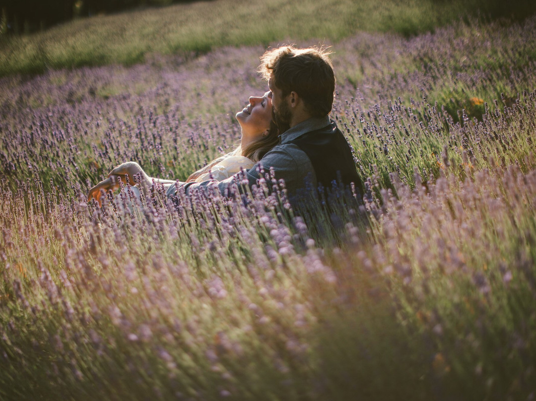 Lavender and Black-盐泉岛必去景点