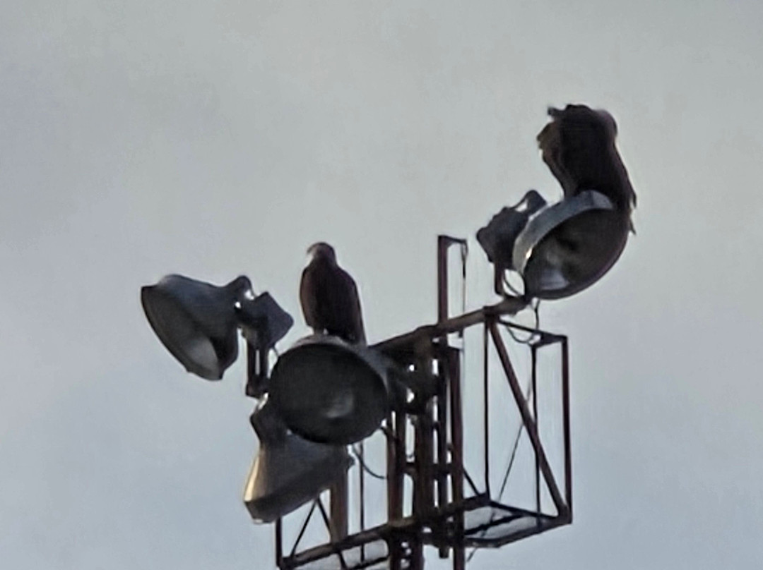 Whittier Harbor-惠提尔必去景点