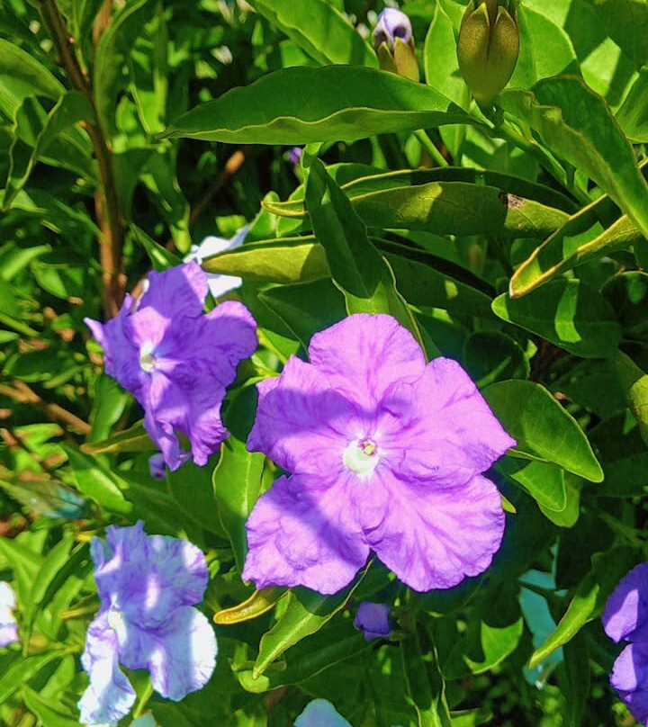 Sensory Garden Kenya-黎木鲁必去景点