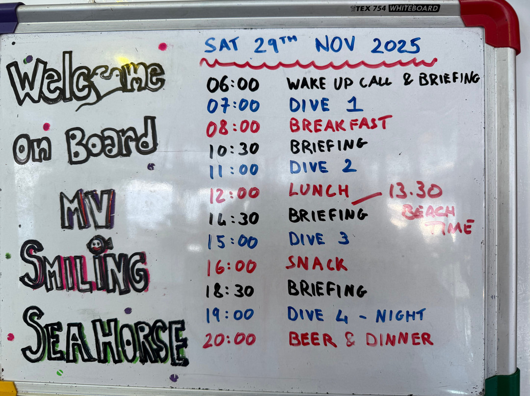 The Smiling Seahorse-拉廊必去景点