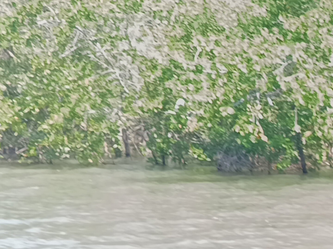 Rota do Peixe-Boi-Marinho-Estancia必去景点