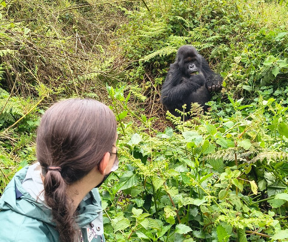 New Horizon Africa Safaris-吉佳利必去景点