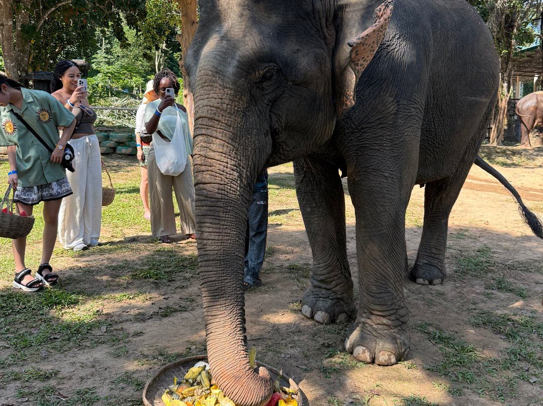 Phuket Elephant Nature Reserve-他朗必去景点