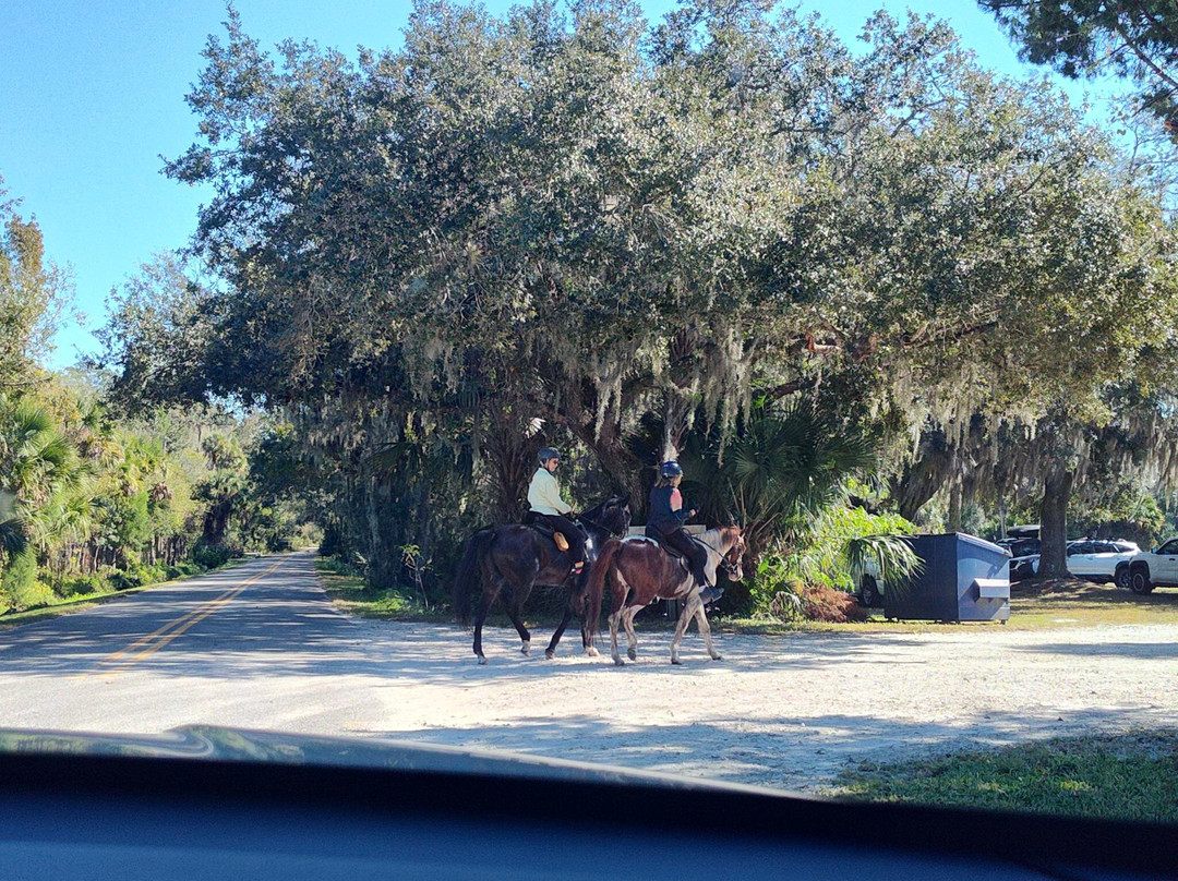 Orlando Wetlands-Christmas必去景点