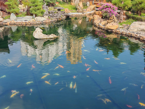 CHINA Vistas Hong Kong-香港必去景点