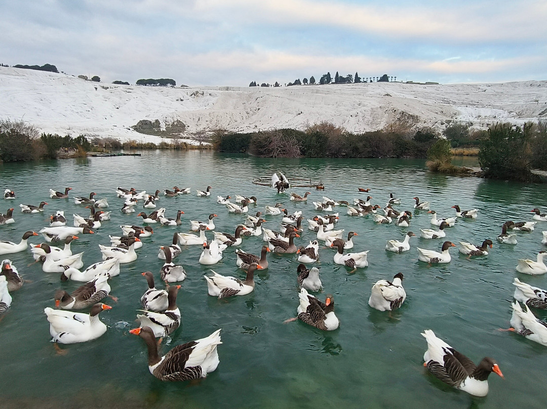 Sabor Travel-格雷梅必去景点