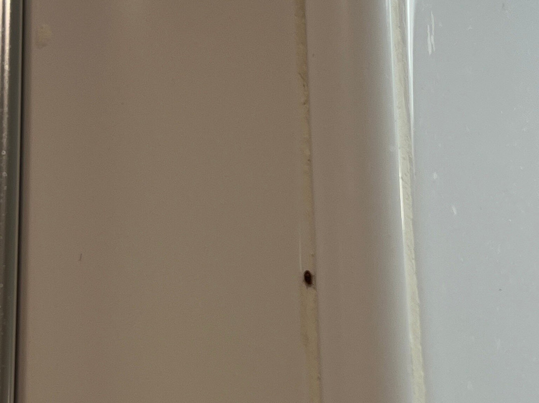 假日曼切斯特西区酒店主图