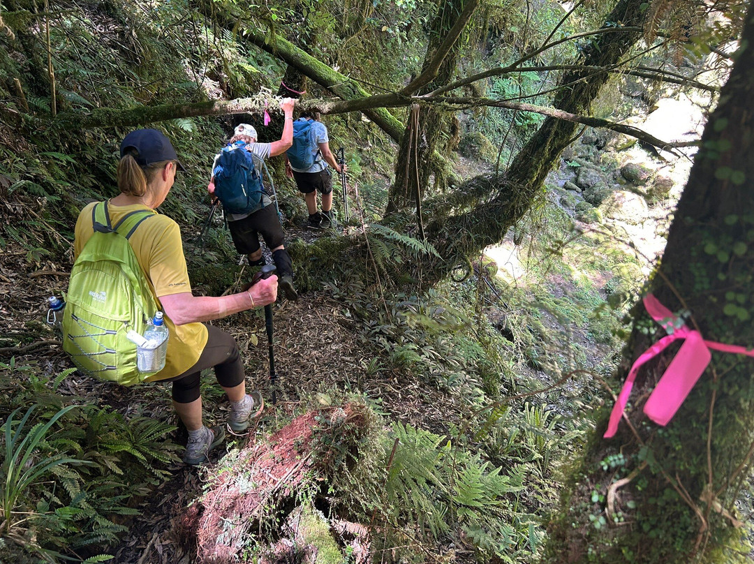 Real  Native  -  Walking Retreat-Te Awamutu必去景点