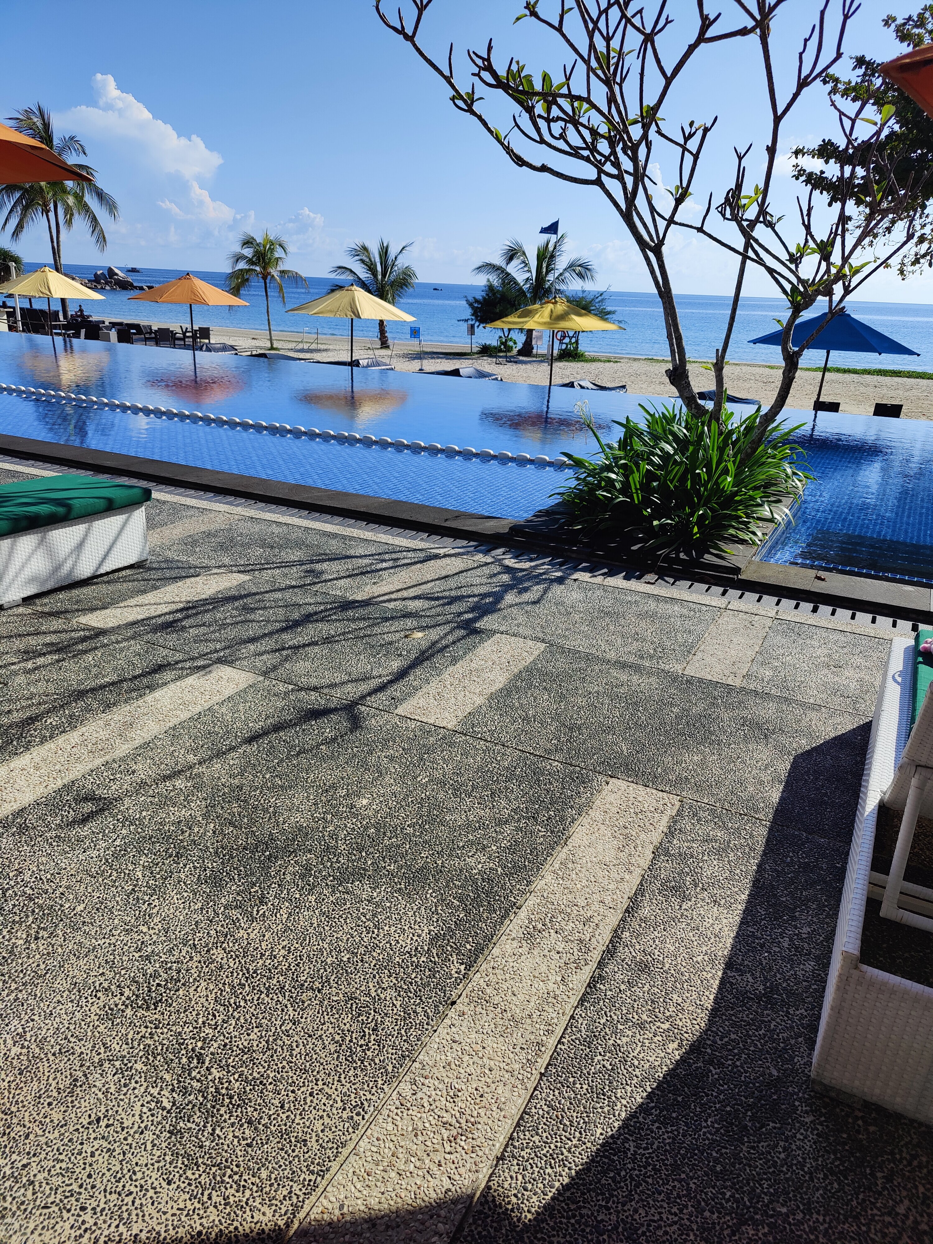 民丹岛卡西亚酒店-泳池