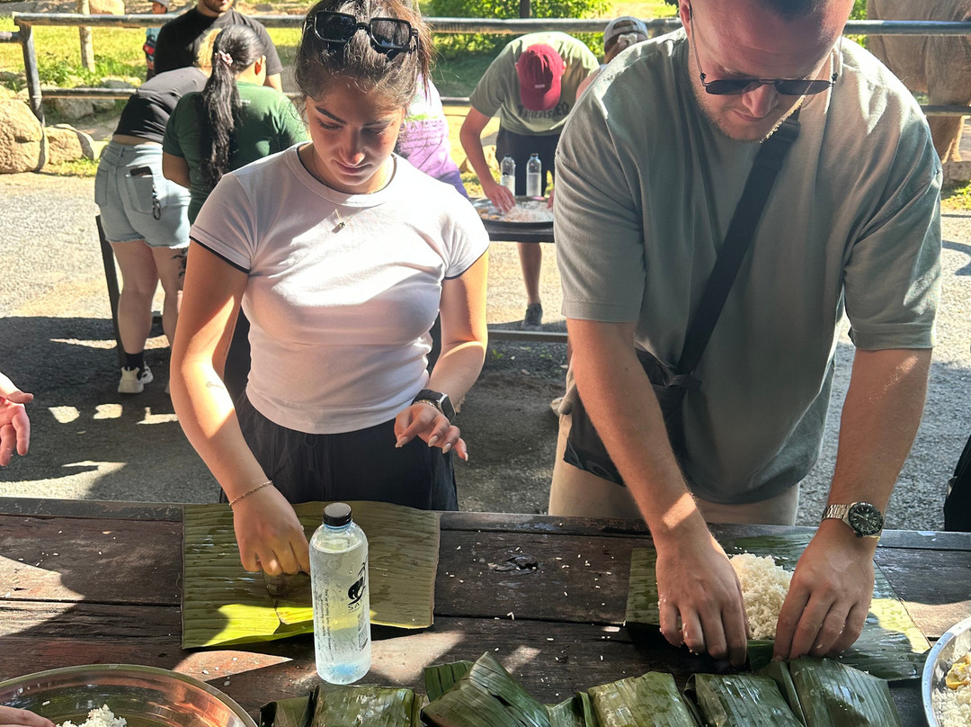 Samui Elephant Sanctuary-波普特必去景点