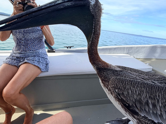 Crash boat Experiences-Aguadilla必去景点