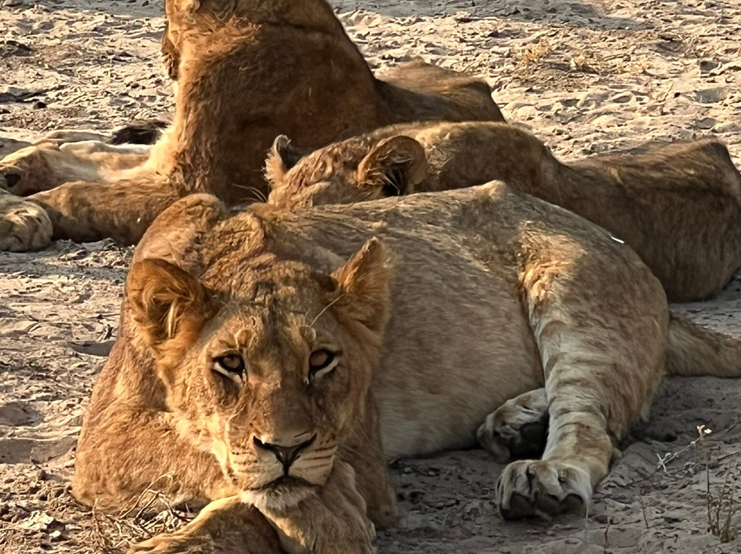 Imvelo Safaris-万盖必去景点