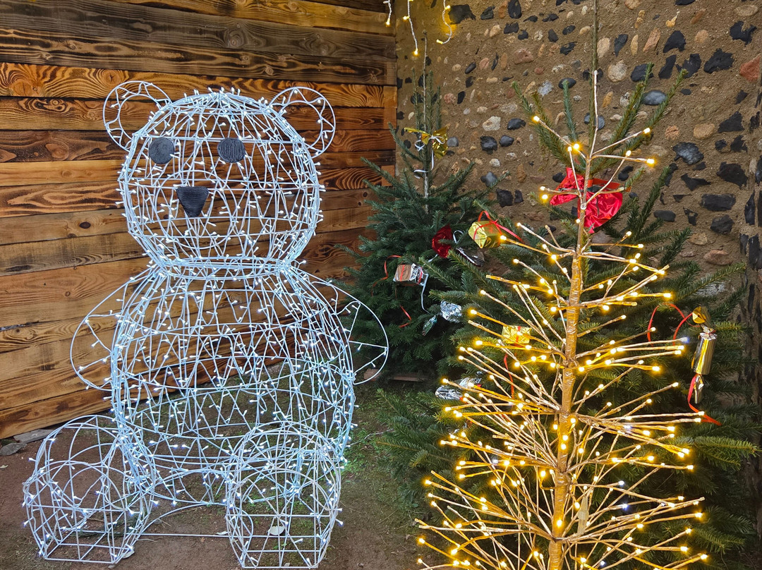 Château de Montrond les Bains-Montrond-les-Bains必去景点