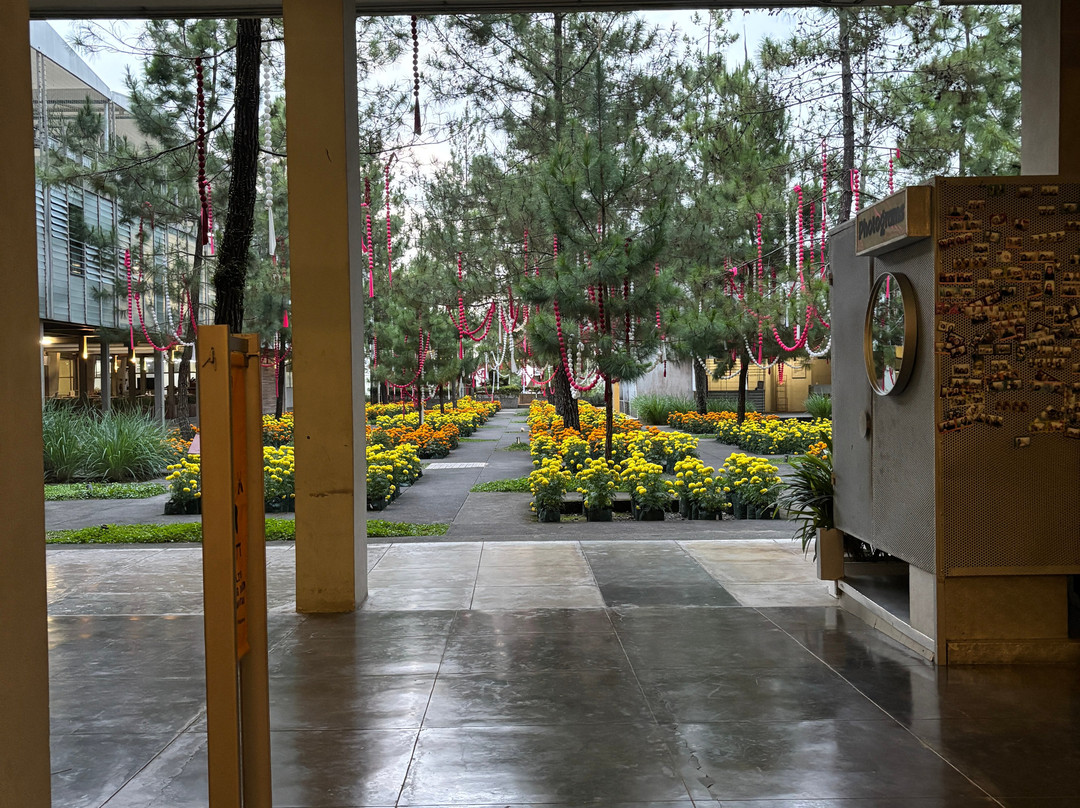 Rumah Atsiri Indonesia-Tawangmangu必去景点